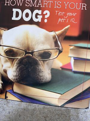 How Smart Is Your Dog? Test Your Pet's IQ by Parragon (2012, Hardcover)  HC/DJ