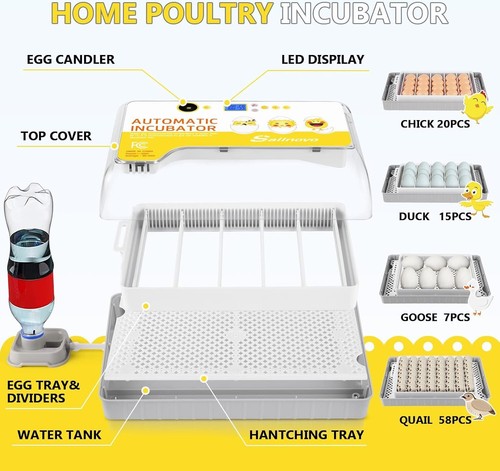 20~60 Egg Incubators w/Automatic Turner, Humidity Display, Candler&Temp Control# - Picture 5 of 8