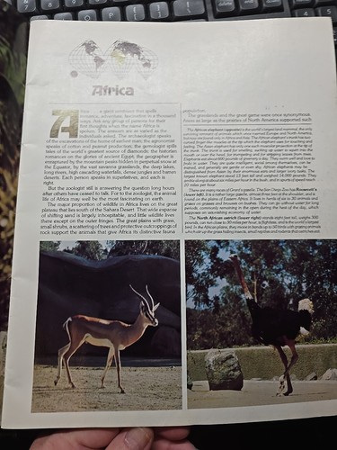 San Diego Zoo Book Colorful World Of Animals 1976 - Picture 2 of 2