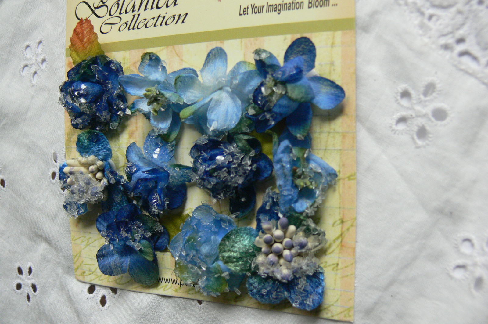 Bild 3 von 3