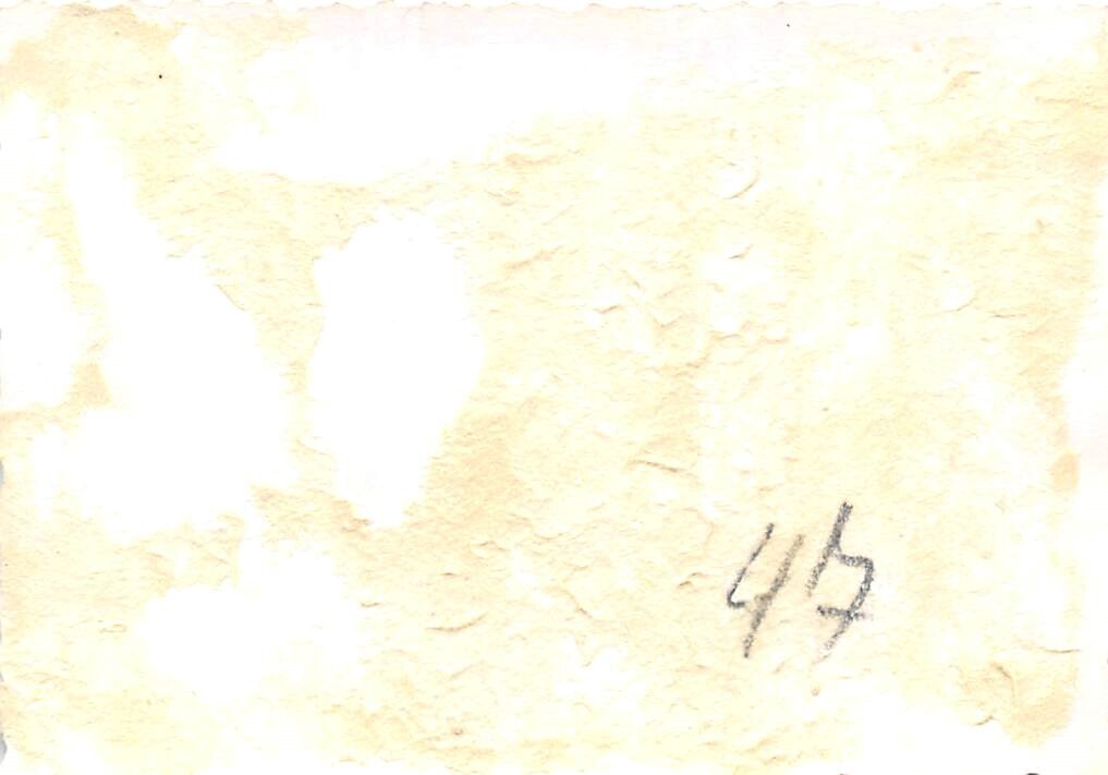 Photo 2/2