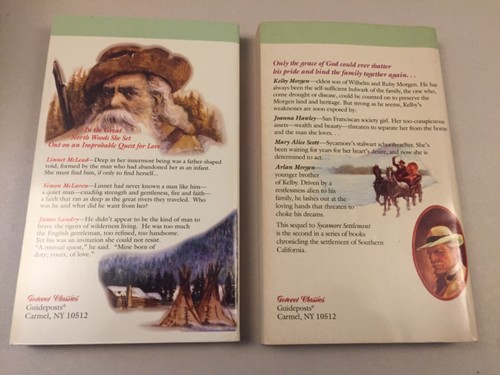 Forever Classics 1980’s Fiction Christian Romance Paperbacks Books Lot of 26 - Picture 19 of 24