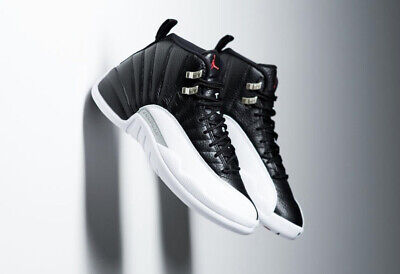 Men's Brand New Air Jordan 12 Retro Men's Brand New Air Jordan 12 Retro