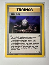 Image for Fossil Egg