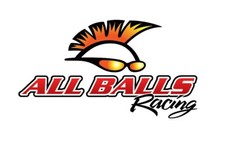 NEW ALL BALLS Cv Boot Kit Honda Kawasaki Bombardier 19-5008 For Suzuki