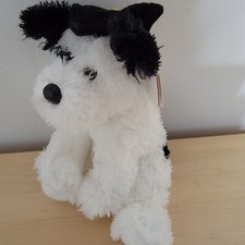 TY Beanie Baby - CONGRATS the Graduation Dog (Walgreen's Excl) (6 inch) - MWMTs