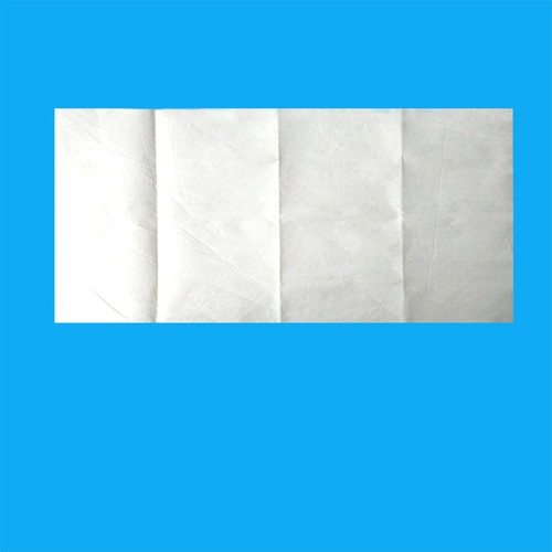 20 Pcs Disposable Germinating Cloth Moisturizing Water Absorbing Cloth Sprout - Picture 8 of 11