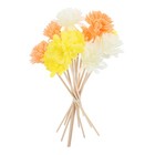 12 Pcs Rattan Reed Diffuser Sticks Reeds for Refill Essential Oils