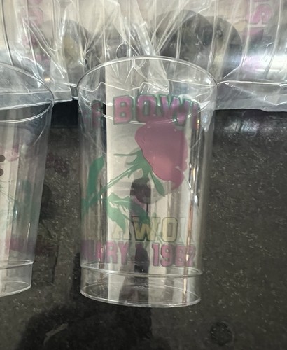 De colección 1986 Iowa Hawkeyes Rose Bowl Vidrio Plástico Bebidas Bola Alta 24 Ct 10 Oz. - Imagen 3 de 4