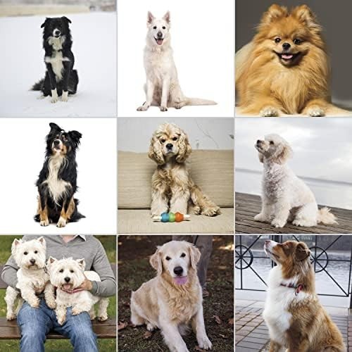 WAHL Professional PET CLIPPERS Dog Grooming Kit Heavy Duty Trimmer Thick Hair US