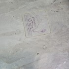 Bild 8 von 9