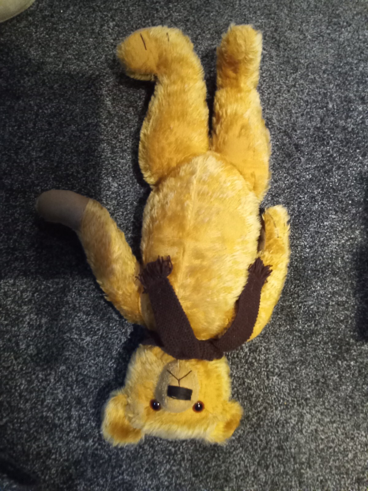 Bild 6 von 9