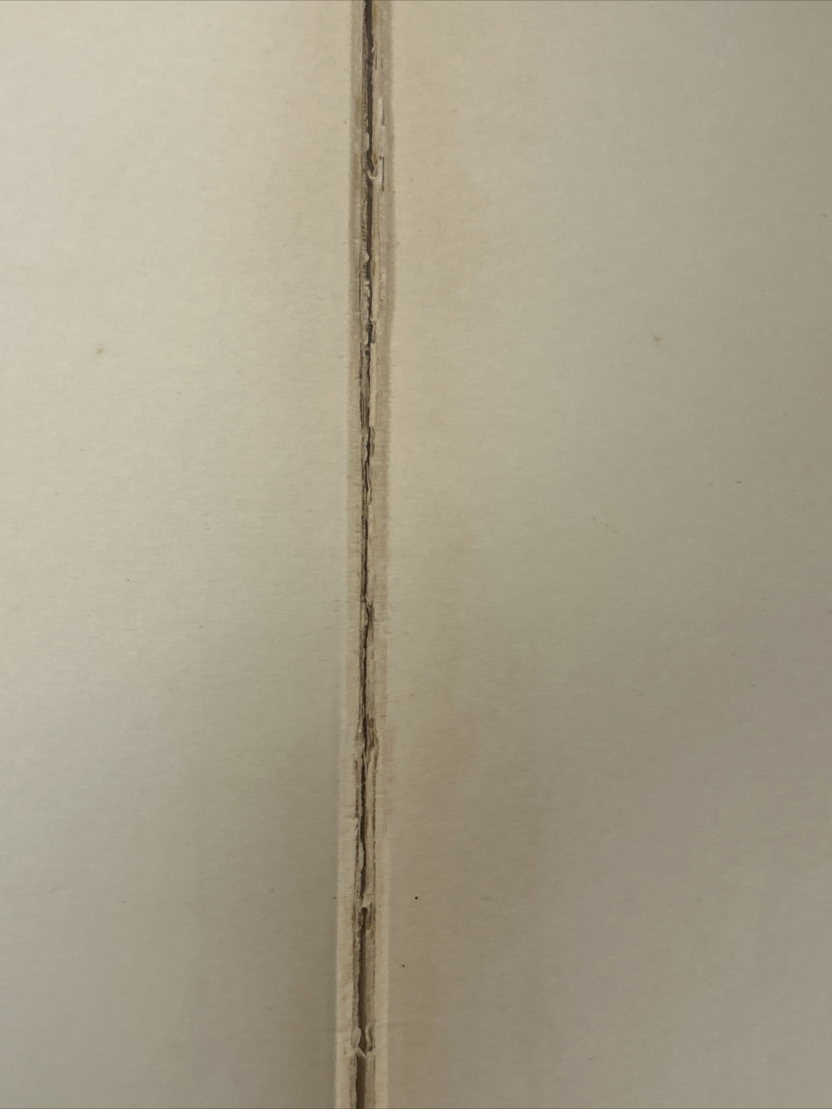 Picture 6 of 19