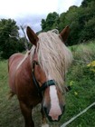 Bild 5 von 7