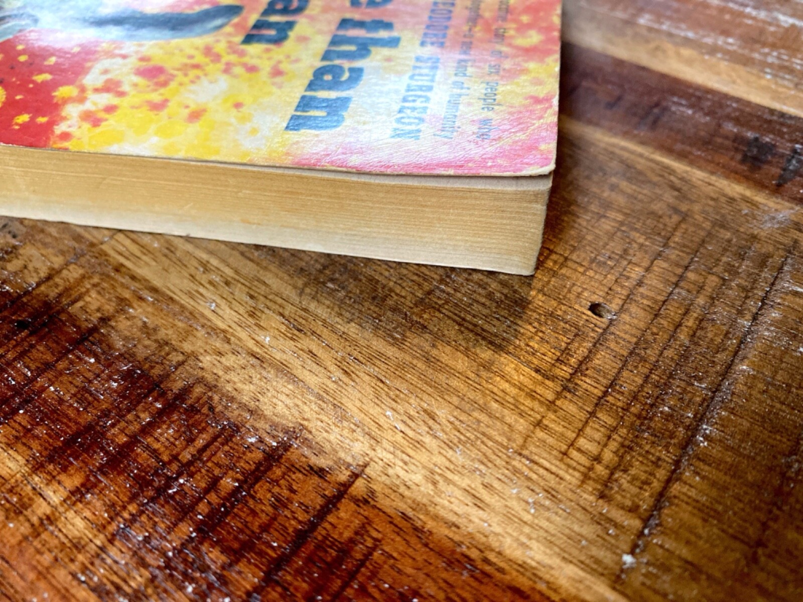 Picture 5 of 7