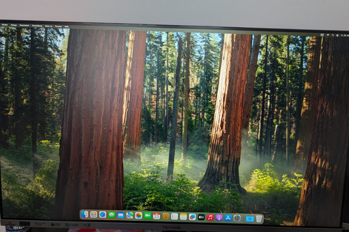 Apple Mac mini M1 - A2348 (2020) – 8GB RAM, 512GB SSD, ✨Top Zustand! ✨ - Afbeelding 4 van 9