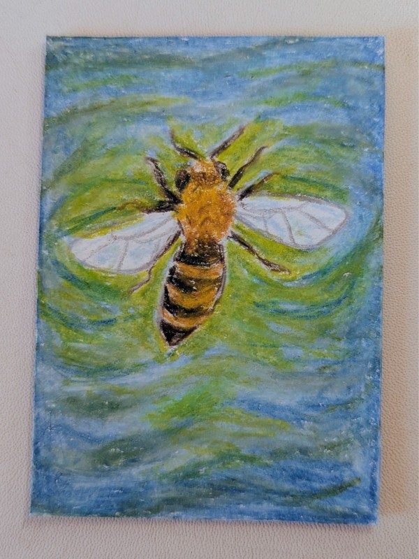 ACEO Artist Original, ATC Artist Trading Card, Bee, Water