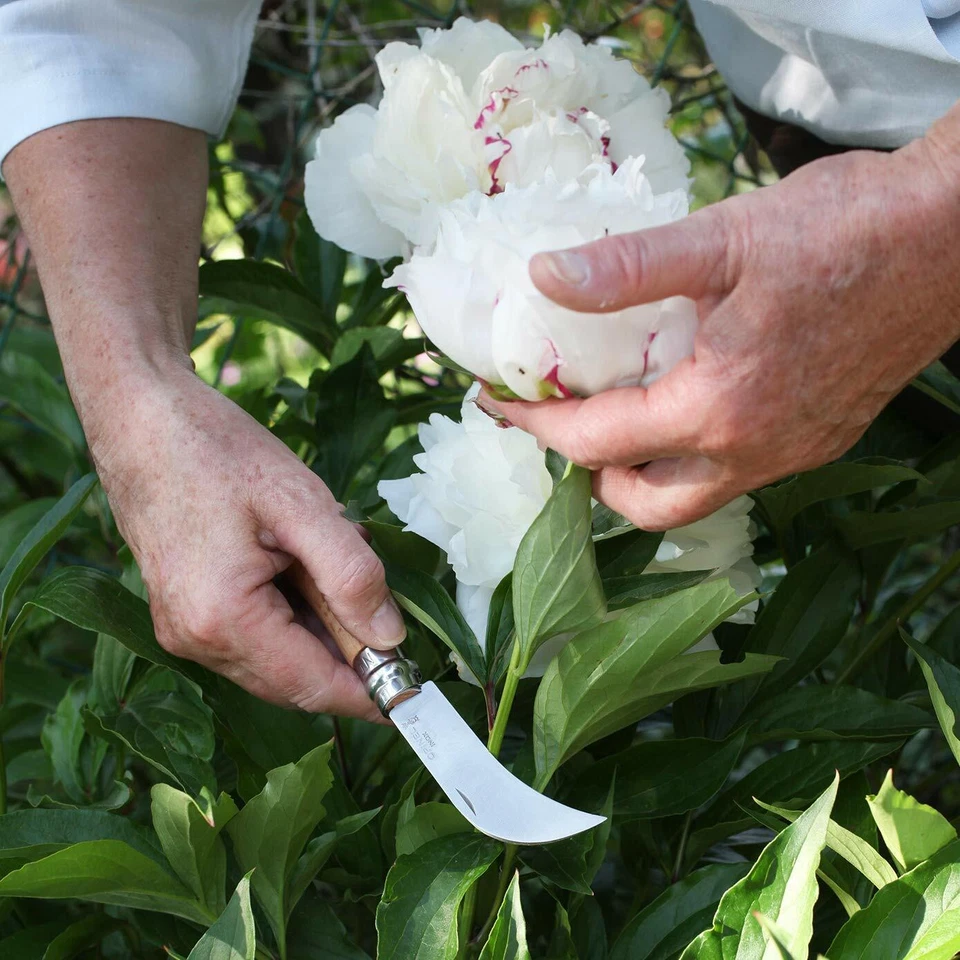 Opinel N°08 Grafting Billhook - Image 2 of 4