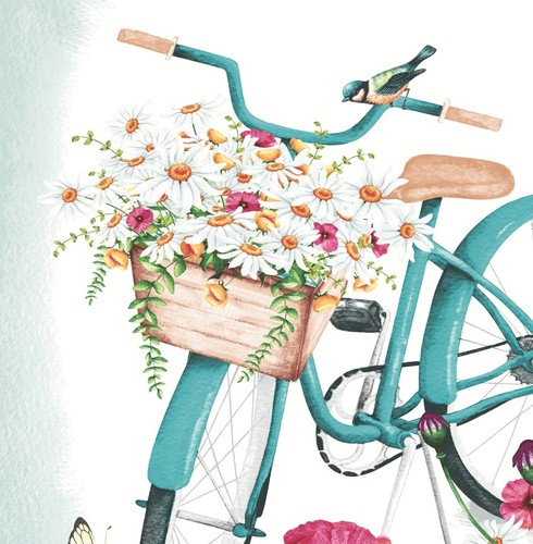 3 Paper Napkins For Decoupage Scrapbooking Craft Lunch Serviettes Bicycle Floral - Picture 11 of 12