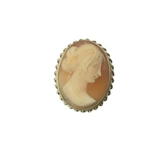 Vintage 14 Karat Yellow Gold Cameo Brooch/Pin #11897