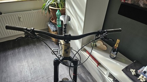 Cube Stereo One 77 Race 29 desert n grey - Bild 9 von 11