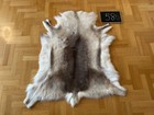 Exclusive Reindeer Hide Skin 127x115 cm Scandinavian Rug Prime Quality Real #586