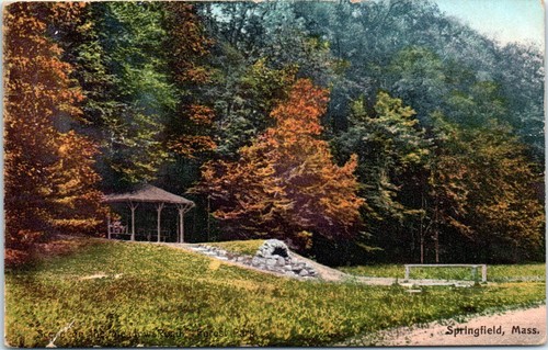 Lot of 3 Springfield Massachusetts Postcards Post Office Multi-View Forest Park - Picture 3 of 6