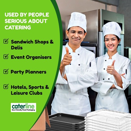 200 x 500cc Hinged Lid Deli Food Catering Container - Salads Cakes Reusable - Picture 4 of 8