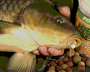Carp Fishing Rod & Carp Reel Boilles Pop ups Method Ledger Luncheon Meat Fishing Carp Fishing Rod & Carp Reel Boilles Pop ups Method Ledger Luncheon Meat Fishing