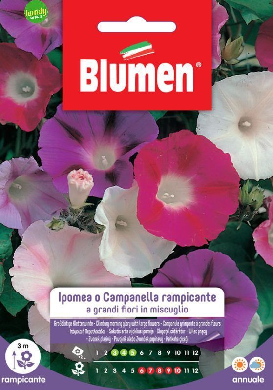 Foto 1 di 1