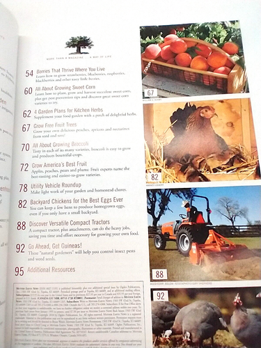 Mother Earth News Food And Garden Series 2010 Guide To Growing Your Own Food - Foto 8 di 9