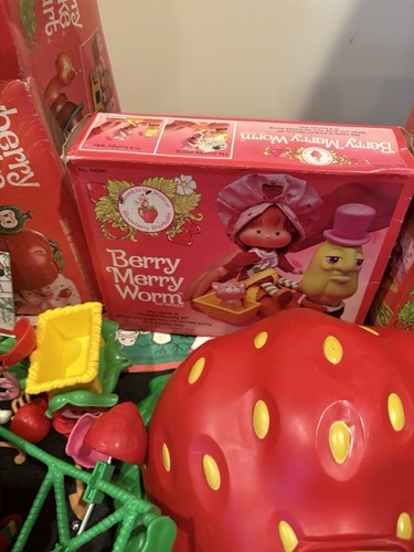 Vintage Strawberry Shortcake Lot Pavillon, Schneckenwagen, Beerenkoffer, Puppe mit Zubehör - Bild 4 von 18