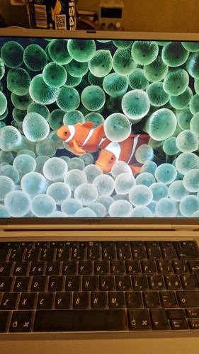 PowerBook G4 Apple Pristine Conditions With Keyboard - Foto 6 di 12
