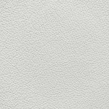 Toyota Alabaster Leather Dye