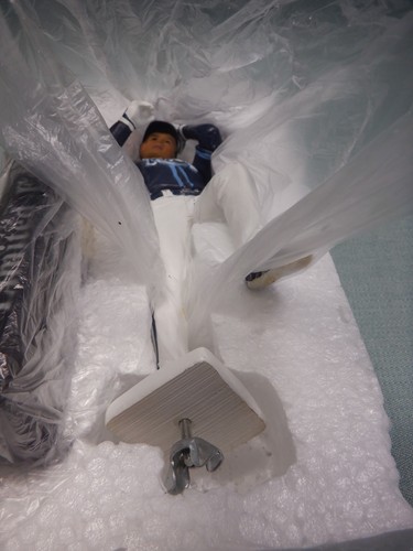 Figura de jonrón Carlos Peña Tampa Bay Rays MLB edición limitada nueva en caja* - Imagen 8 de 12