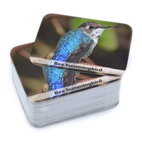 Wild Animals Memory Matching Game – 80 Cards with Real Photos  Animal Facts - Picture 9 of 9