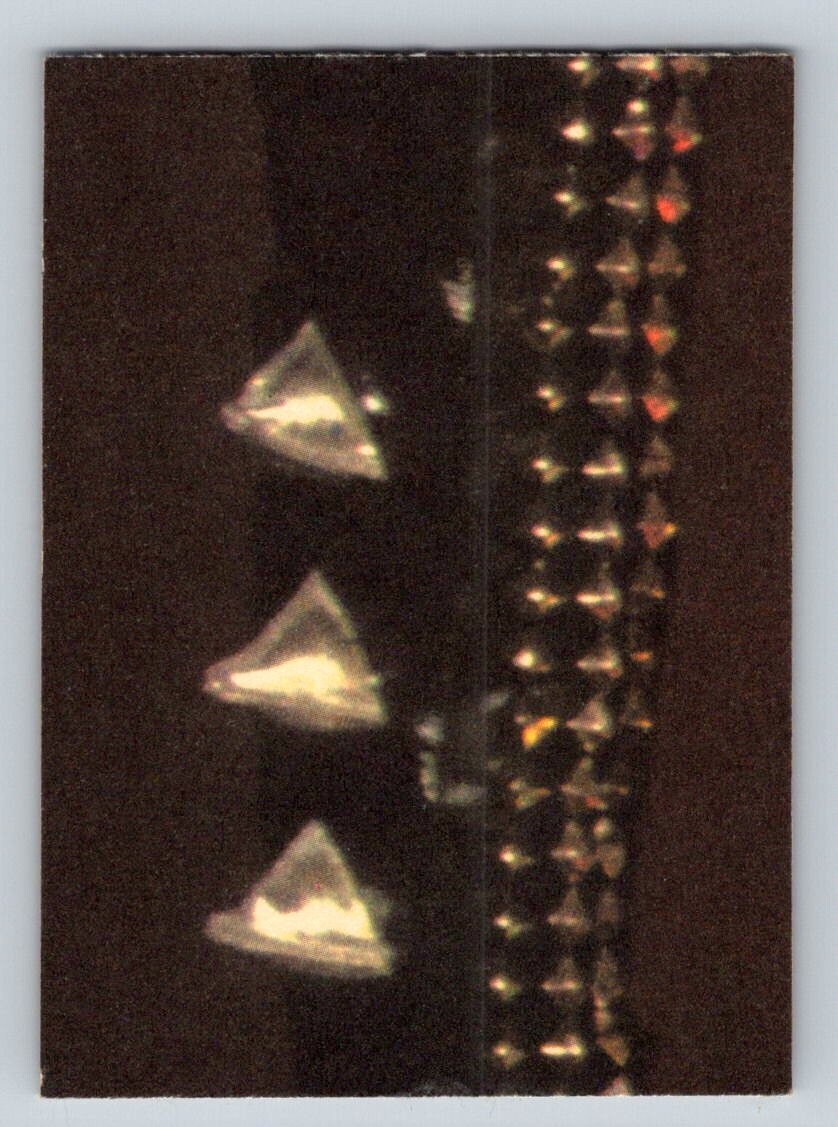 Picture 3 of 32