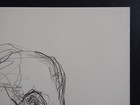 Picture 9 of 12