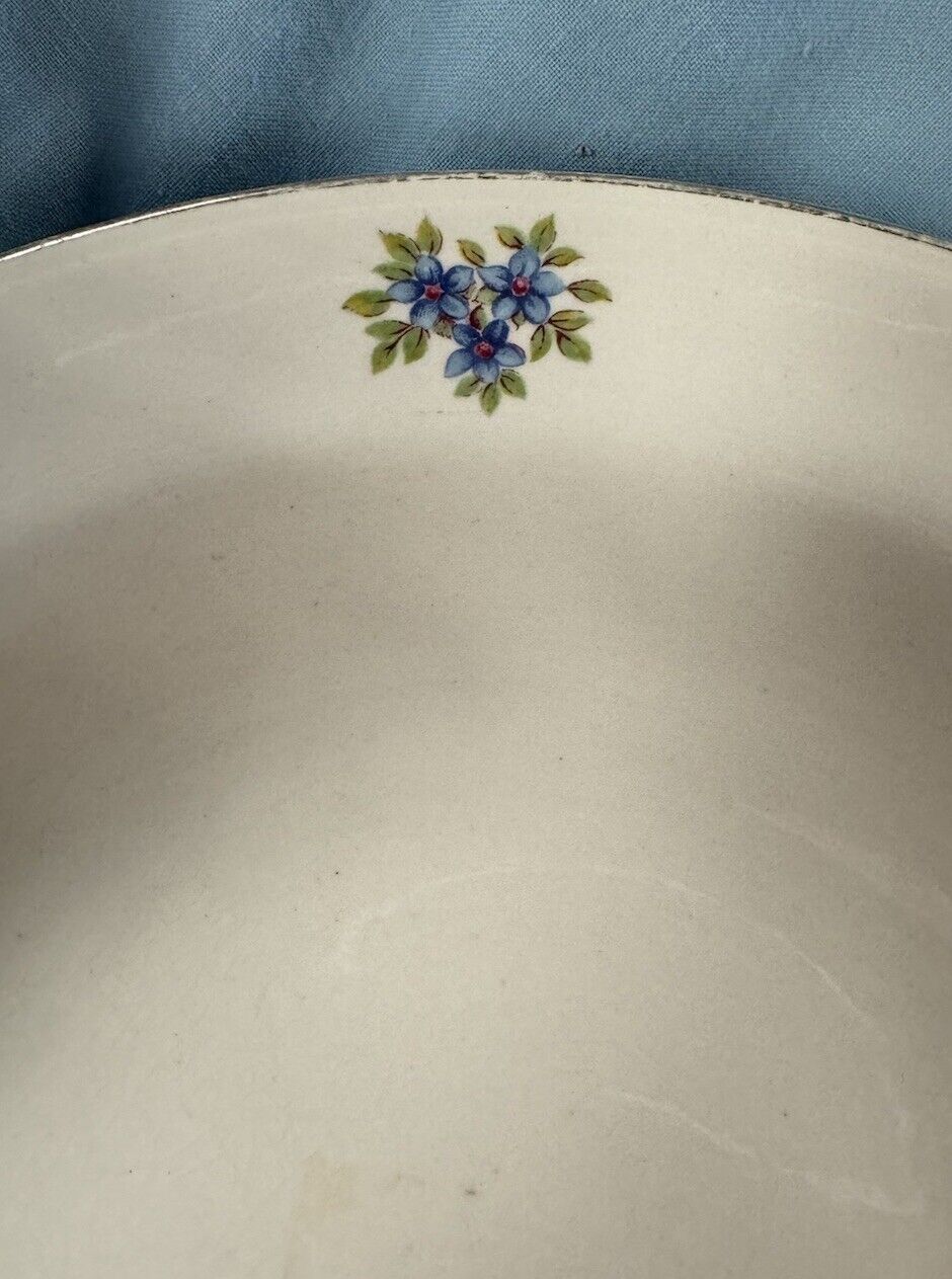 Foto 11 di 14