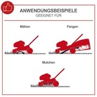 Bild 5 von 13