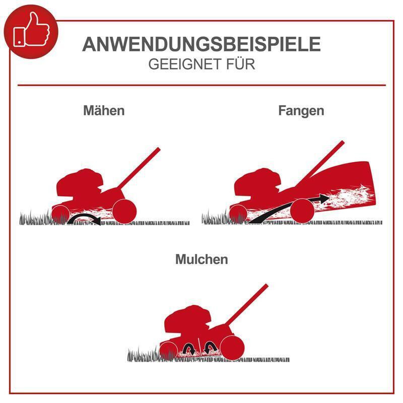 Bild 5 von 13