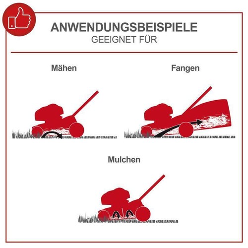 Scheppach Benzin Rasenmäher MS225-56E 6PS 7IN1 Schnittbreite 56cm Akku Ladegerät - Bild 5 von 13