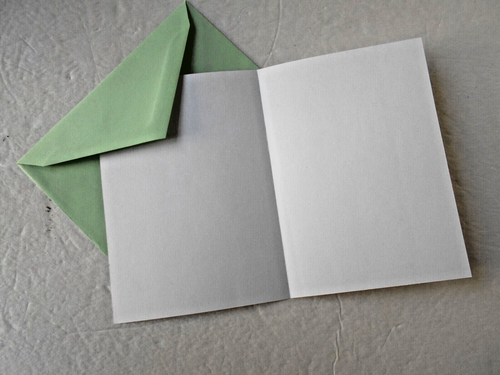 NATURE LOVERS GREETING BLANK CARDS 5 DESIGNS & GREEN ENVELOPS ~ NEW - Picture 7 of 7