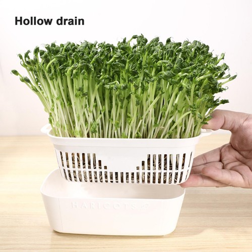 Seed Sprouter Tray Container Wheatgrass Grower Lid Sprouting Bean Mung - Picture 10 of 12