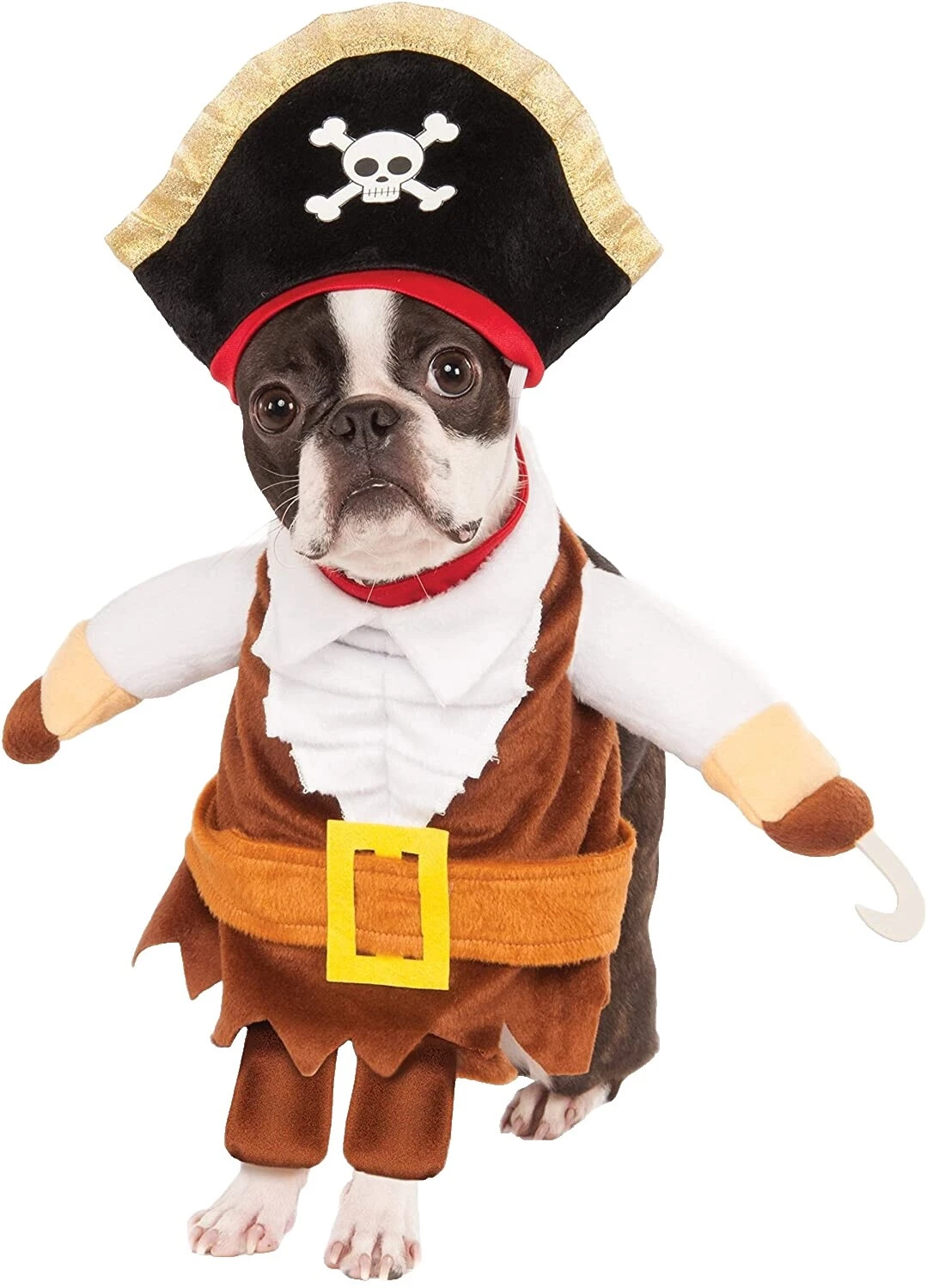 Trajes de perro multicolor pirata