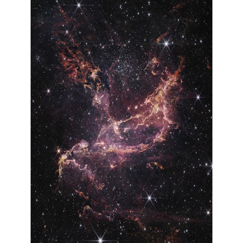 NASA James Webb Cluster Dusty Ribbons Star Formation Leinwand Poster Druck Kunst - Bild 1 von 6