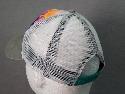 Rachel Pohl Art Snapback Hat Mesh Trucker Cap Mountain Stream Mama Bear Cubs - Picture 12 of 22