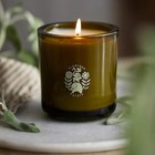 NEW ANTHROPOLOGIE Flamingo Estate Adriatic Muscatel Sage Luxe Boxed Candle USA
