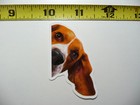 PEEKABOO BEAGLE FUNNY DOG SMALL STICKER DECAL PET PLAY FURBALL FUNNY