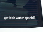 got irish water spaniel? Car Decal Bumper Sticker Vinyl Funny Joke Window